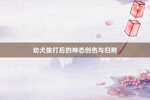 幼犬挨打后的神态创伤与归附
